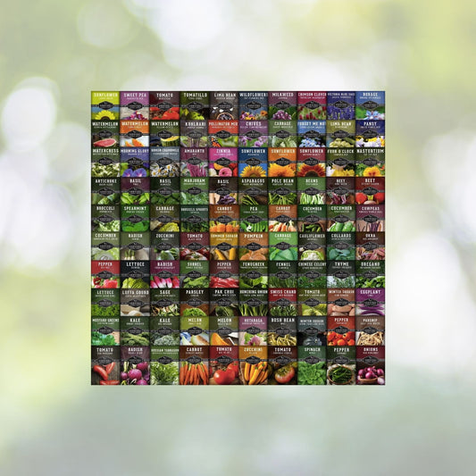 Emergency Survival Seed Bank 21,500+ Seeds 42 Varieties Medicinal Edible Herbal Seed Collection