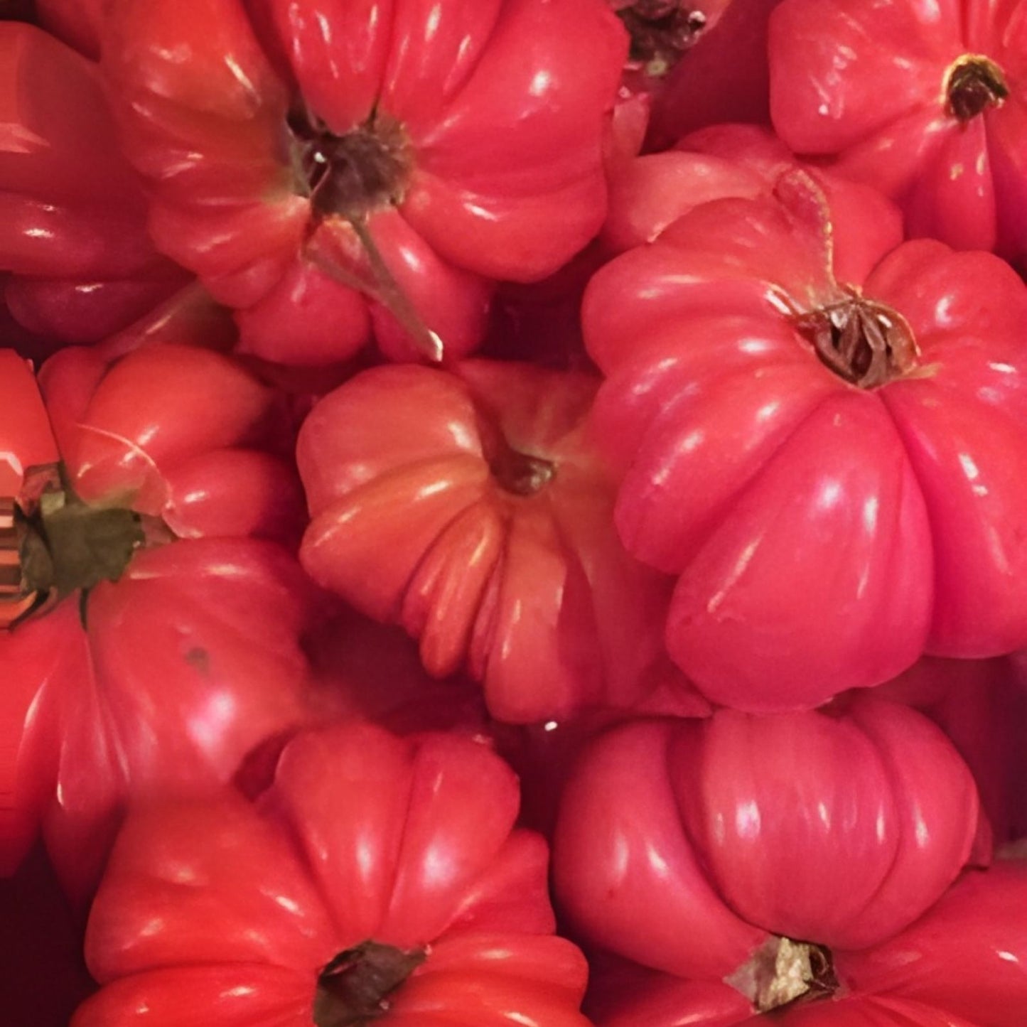 Mushroom Basket Tomato Seeds, 40 Organic Heirloom Seeds, USA Grown, Vegetable Garden Seed, Non-GMO, Heirloom Tomato Variety