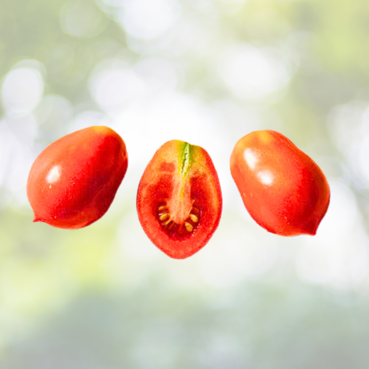 Roma Tomato Seeds - 100 Non-GMO Heirloom Italian Paste Variety - Solanum lycopersicum