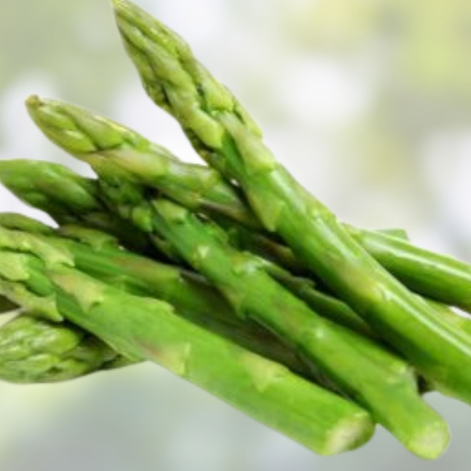 Green Asparagus Seeds 150 Non-GMO Garden Seeds for Planting, Asparagus officinalis, Fresh Vegetable Seeds