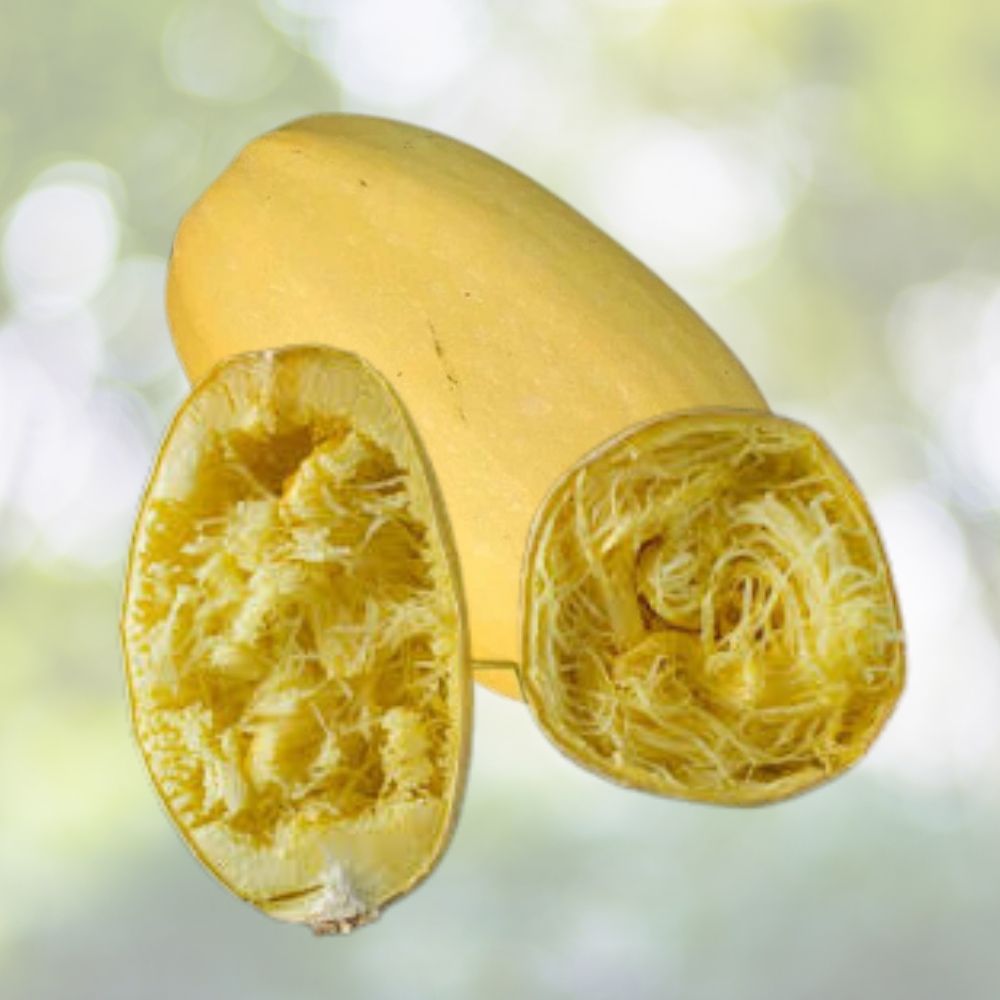 Organic Spaghetti Winter Squash Seeds 10 Pack Cucurbita pepo USA Grown Heirloom Vegetable Garden