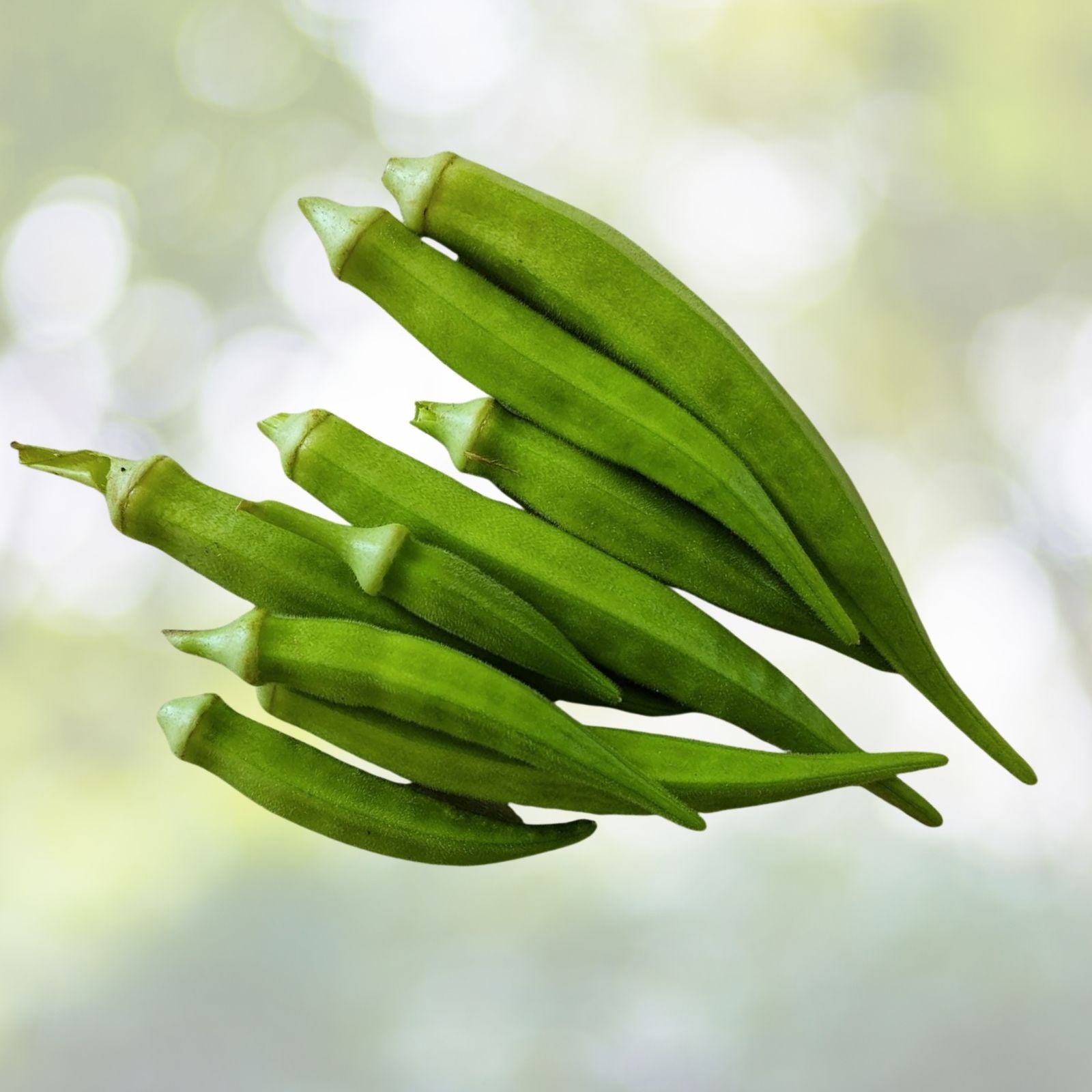 Emerald Okra Seeds - 50+ Fresh Vegetable Garden Seeds - Abelmoschus esculentus - USA Grown
