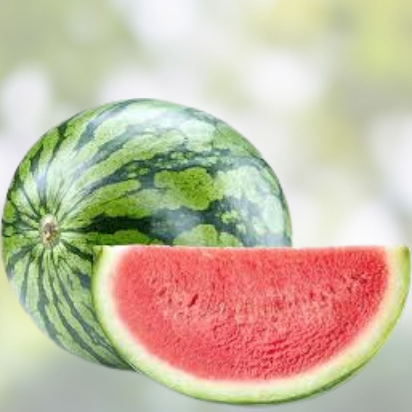 Organic Sugar Baby Watermelon Seeds 50 Pack Non-GMO Heirloom USA Grown Vegetable Seeds