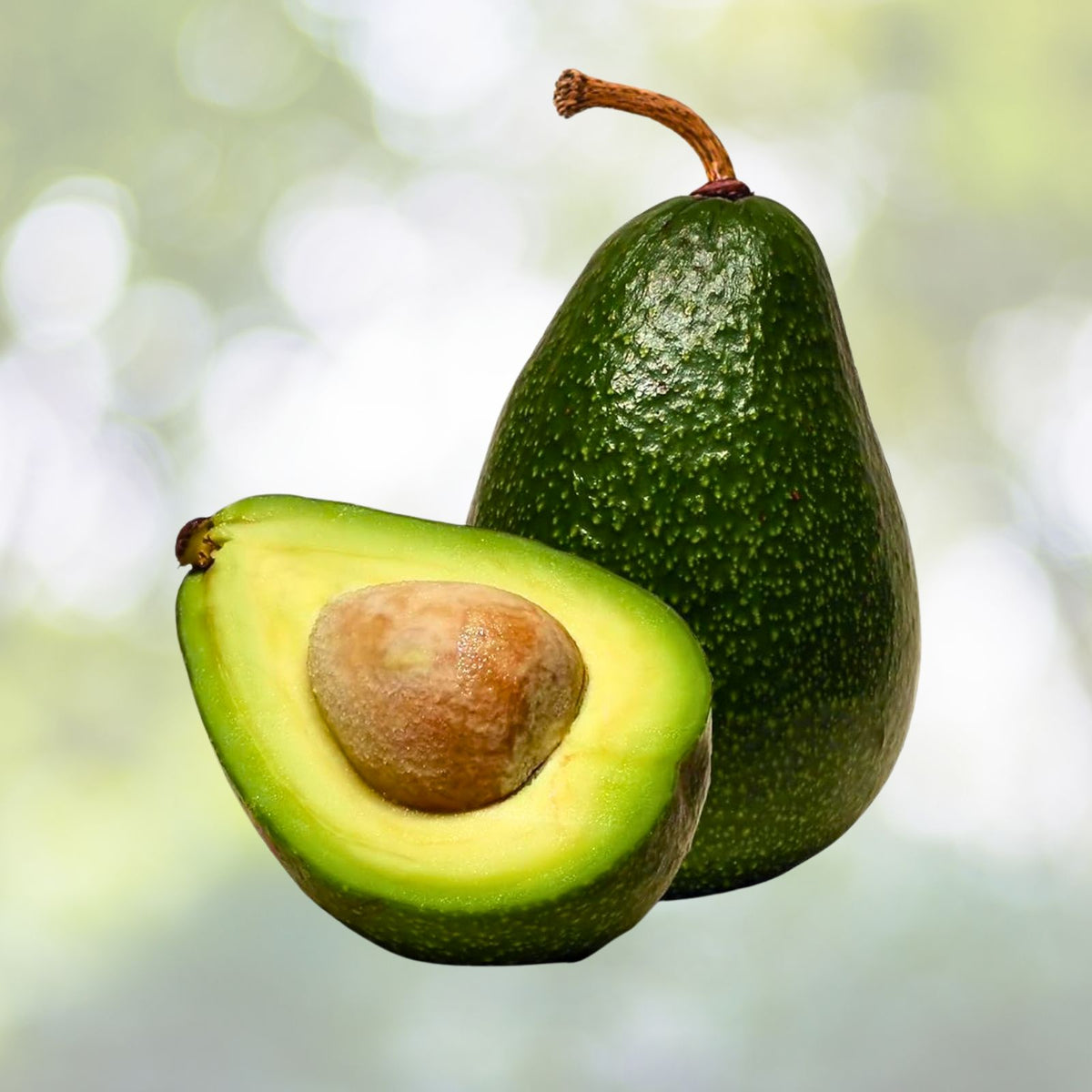 Hass Avocado Seeds 5 Pack Easy Grow Persea americana Rare Planting