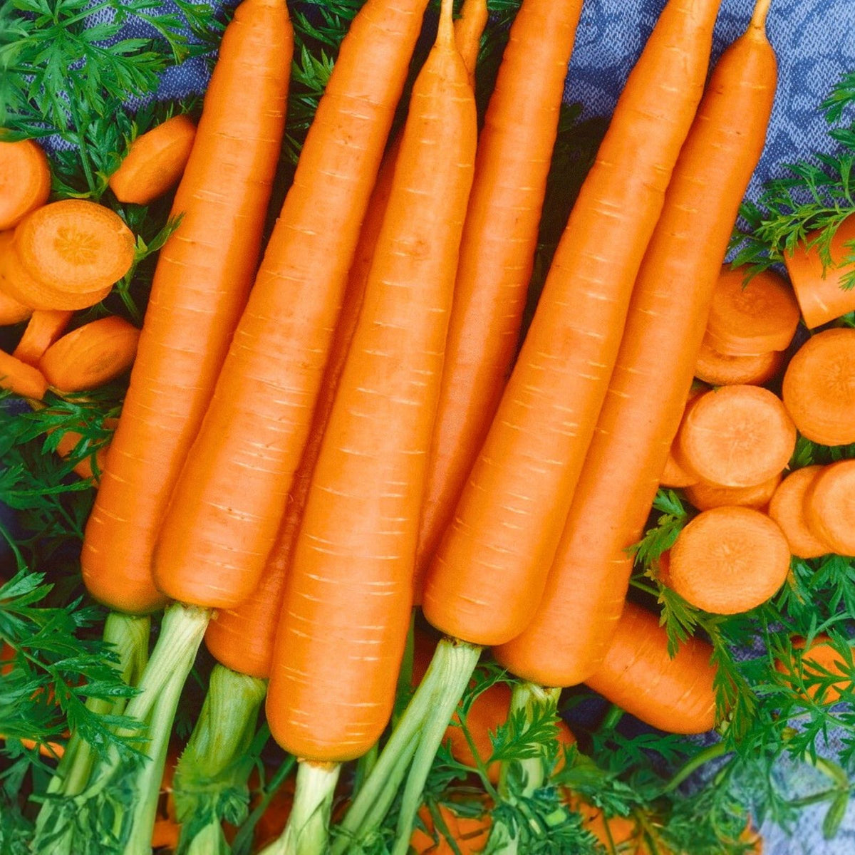 Carrot Seeds Little Fingers Non-GMO 50+ Seeds Daucus carota Organic Vegetable Garden Planting