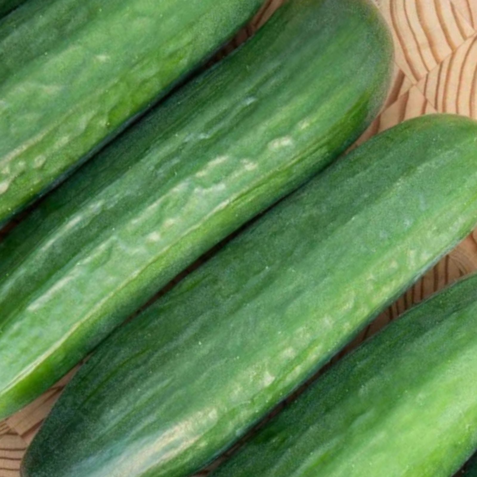 Mini Cucumber Seeds 10 Pack Picolino Variety for Garden Planting, 5-6 Inch Cucumis sativus Vegetable Seeds