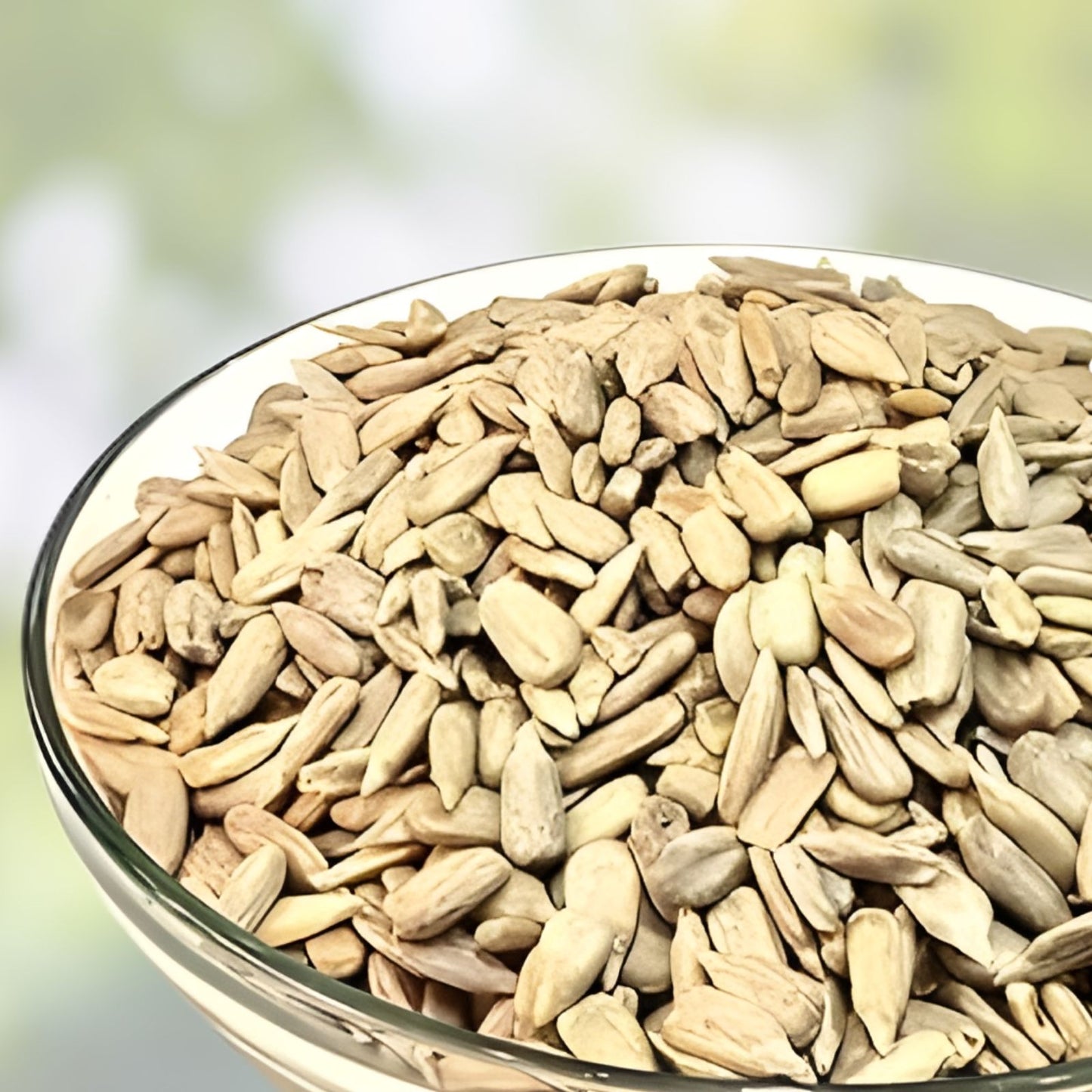 Assorted Organic Sunflower Seeds 500 Count Non-GMO USA Grown High Germination Rate for Gardening and Sprouting