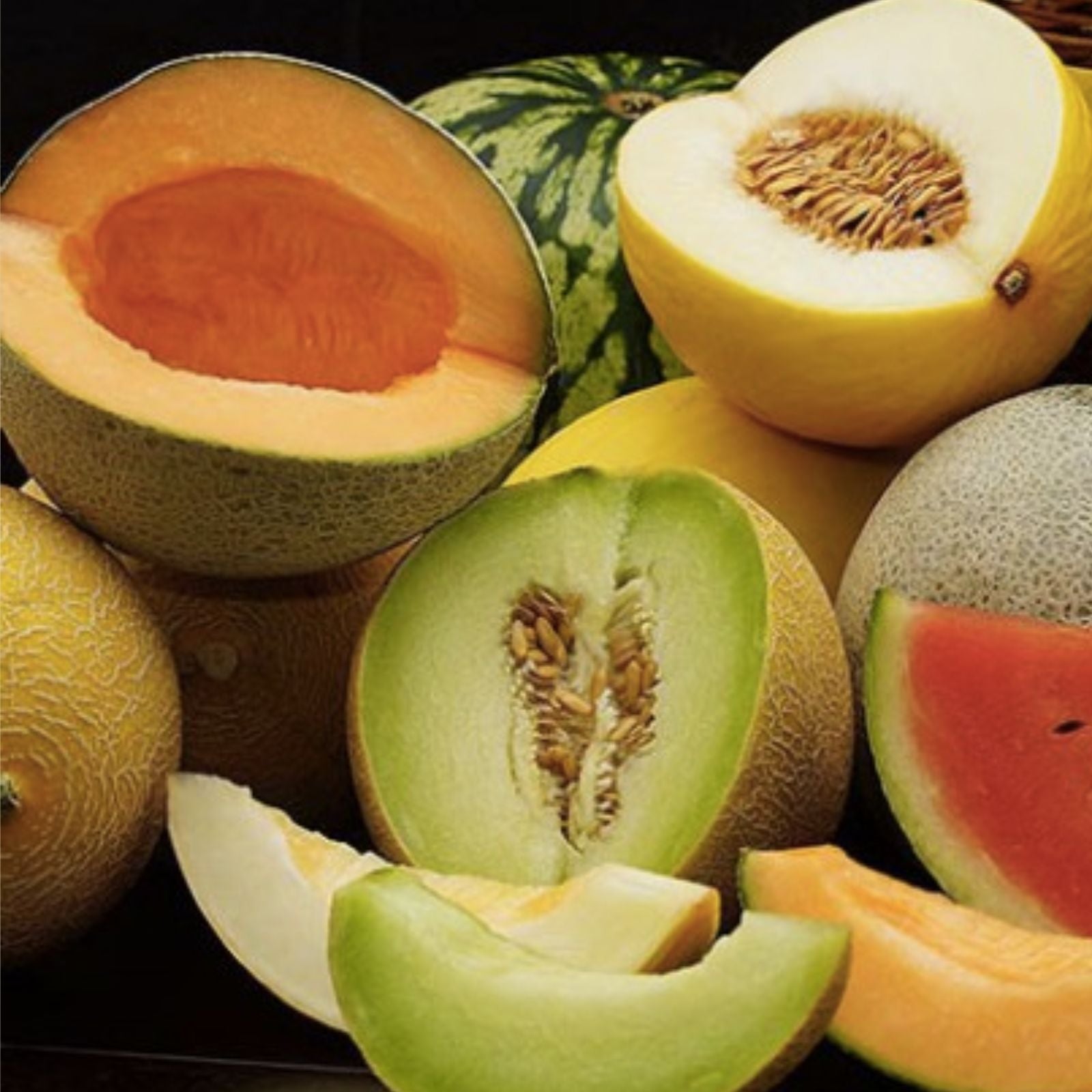 Garden Melon Mix Seeds 30 Pack – Easy to Grow, Flavorful Varieties, Cucumis melo, Fruit Seeds for Garden Planting