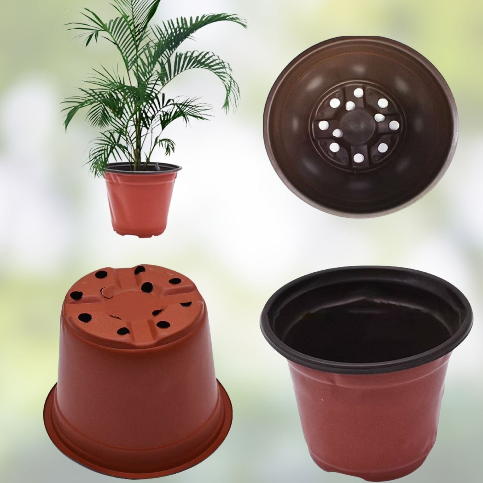 75 Pcs Plant Nursery Pots for Succulents and Seedlings, Transplanting Containers for Gardening, Plastic Plant Pots Set