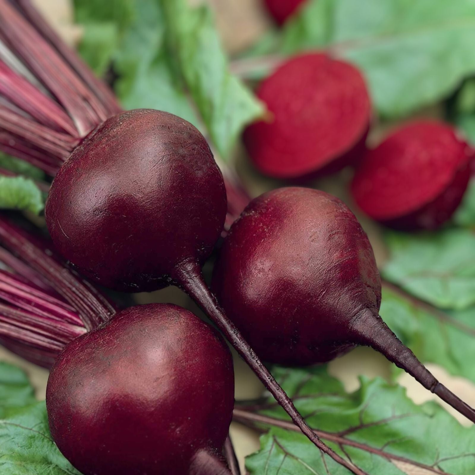 Beet Seeds 100 Non-GMO Detroit Dark Red Heirloom Sweet Beets Beta vulgaris Vegetable Seeds
