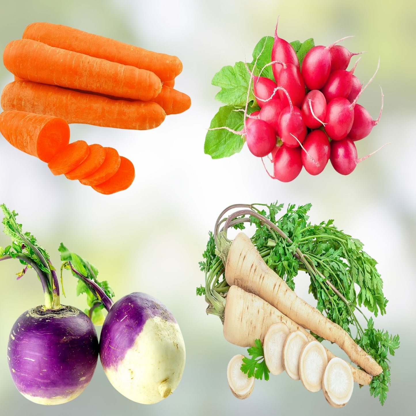 Heirloom Vegetable Seed Collection - 4 Varieties Carrot Beet Radish Turnip Non-GMO Seeds for Gardening