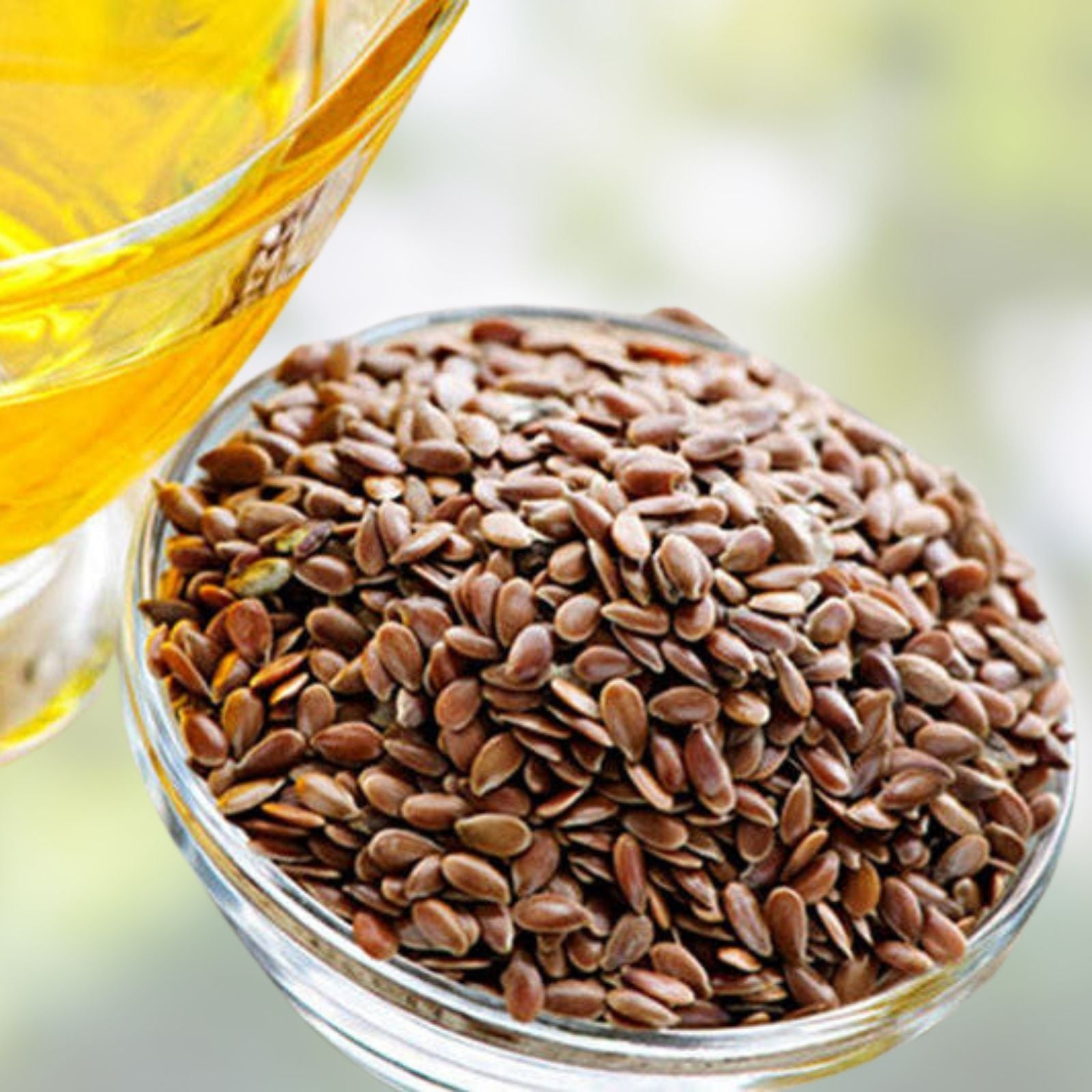 Organic Flax Seeds 2 oz Whole Seeds Rich in Omega-3 ALA Linum usitatissimum