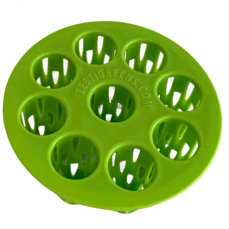 Easiest Green Onion Regrower. Includes Ergonically Designed Lid & Instructions for Beginners.
