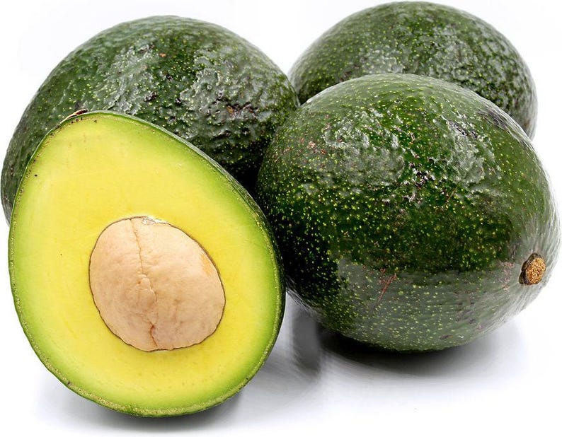 Grafted Reed Avocado Tree - 6" Pot - Persea americana - Indoor/Outdoor Plant - Ideal for Small Spaces