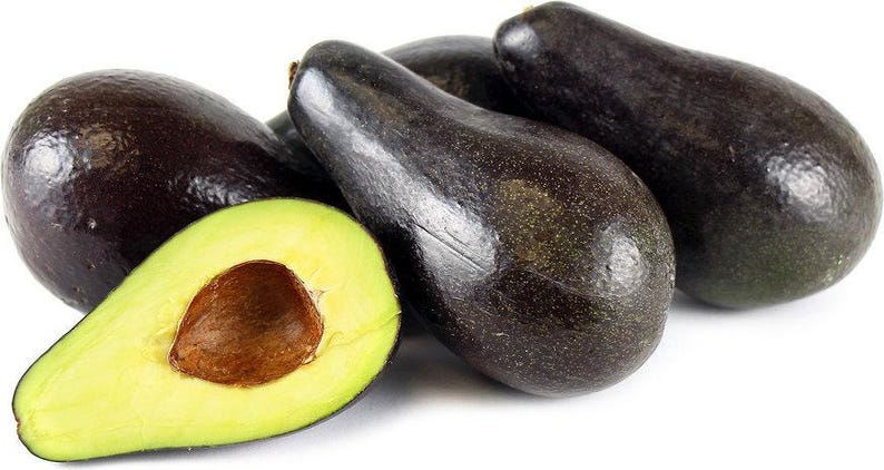 Grafted Stewart Avocado Tree - 1 ft - Persea americana - Easy Care, Ideal for Containers, Ships in Plastic Bag