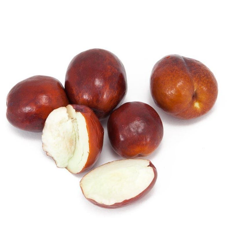 Jujube Tree 3gal Pot Li Variety Large Fruit Ziziphus jujuba Ideal for Zones 5-10 Grafted Easy Care Garden Tree
