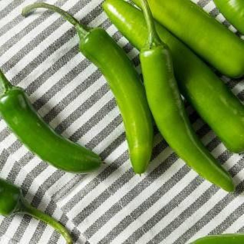 Serrano Pepper Plant 3” Pot | Capsicum annuum | Live Edible Herb for Gardens & Containers