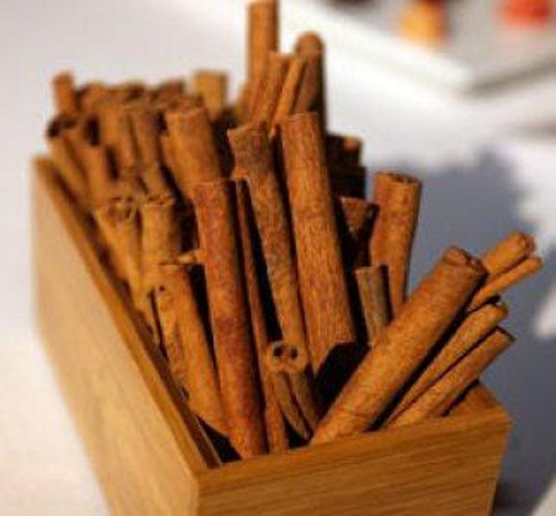 Cinnamon Tree Plant - 1 to 2 Feet - Cinnamomum verum - Aromatic Evergreen Shrub in 3 Gallon Pot for Culinary Use