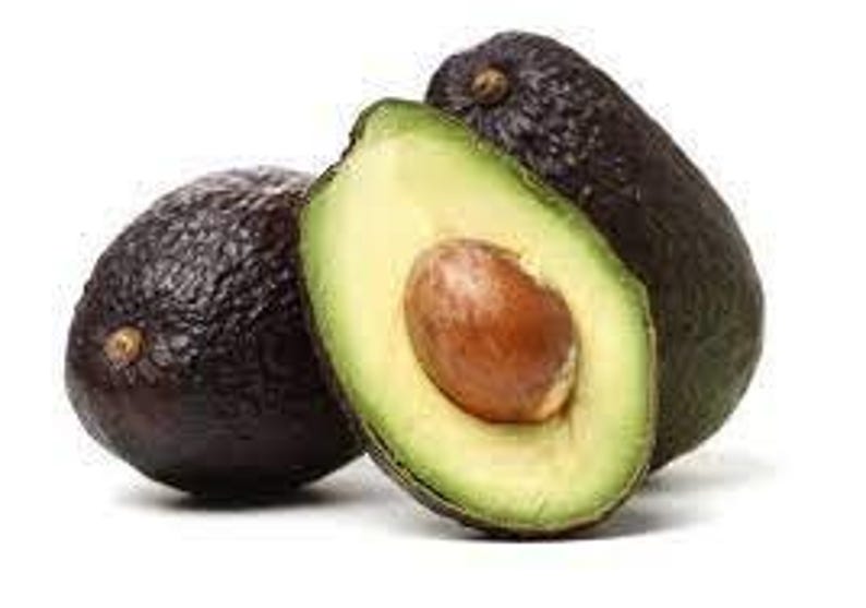 Lamb Hass Avocado Tree 3-4ft Grafted Premium Quality Persea americana - Ideal for Garden or Patio
