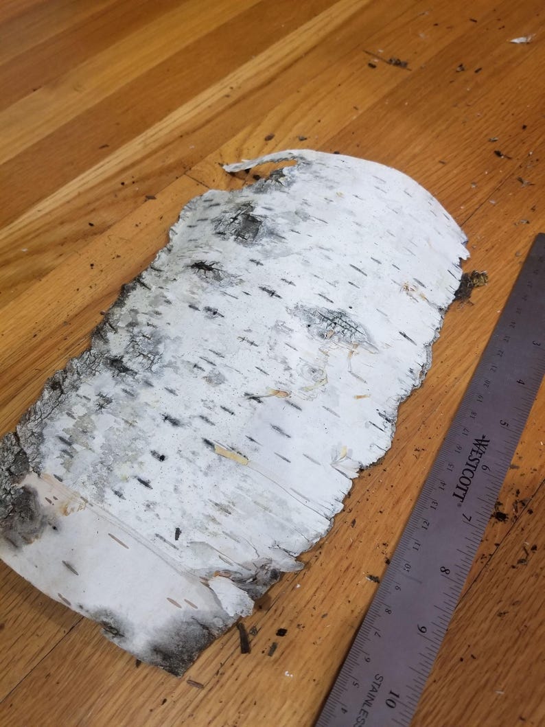 Birch Bark Pieces - Assorted Natural Thick & Stiff Craft Bark - Sustainably Harvested Betula spp. for Decor & Landscaping