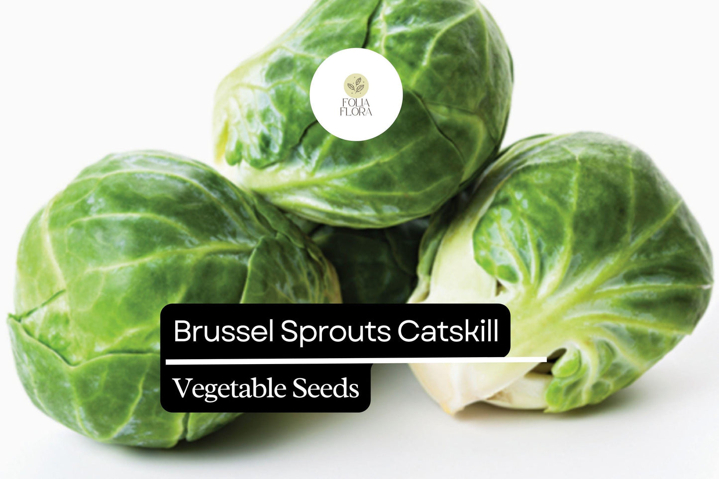 Brussel Sprout Seeds 1g Heirloom Catskill Variety | Brassica oleracea var. gemmifera | Cold-Hardy, Flavorful, High-Yield