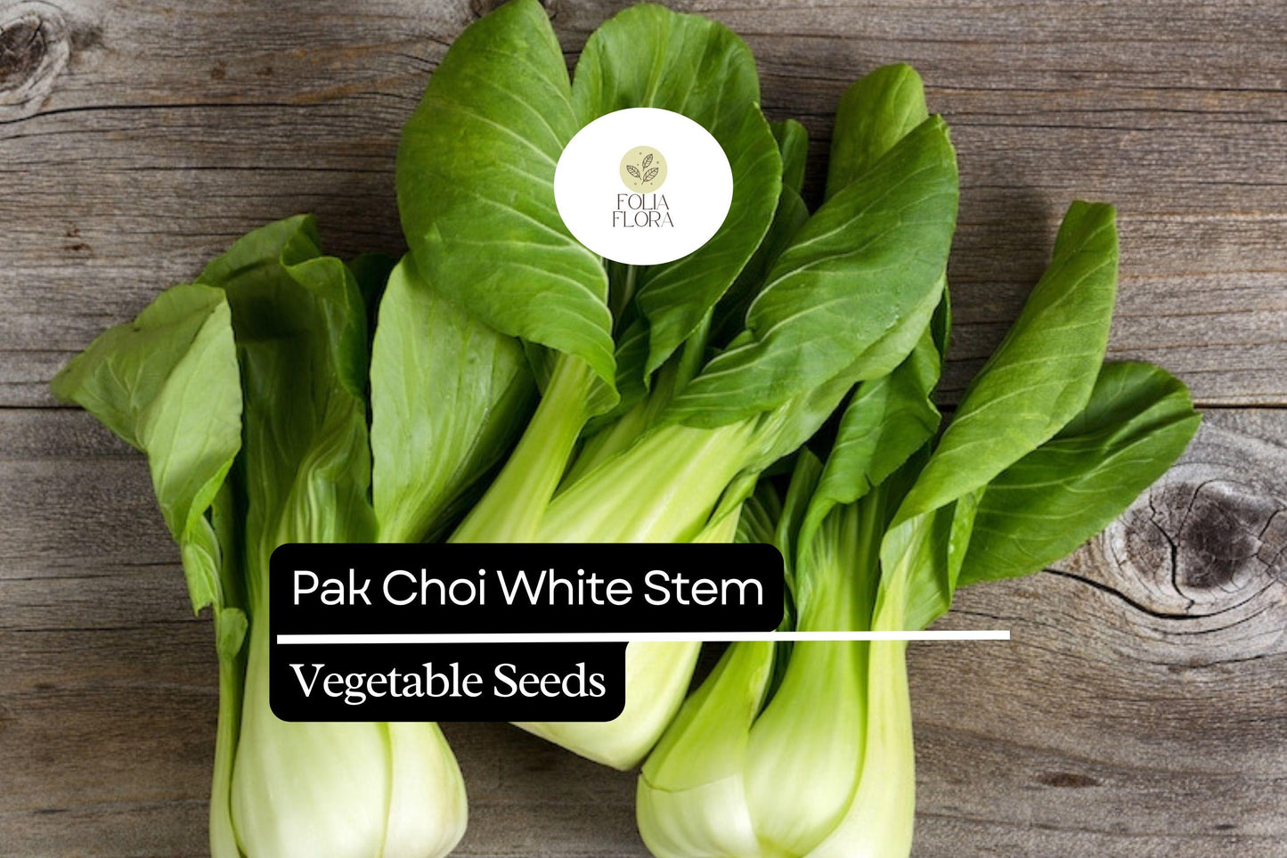Pak Choi White Stem Seeds | 1g Non-GMO Heirloom Asian Greens | Brassica rapa var. chinensis | Fast-Growing, Mild Flavor