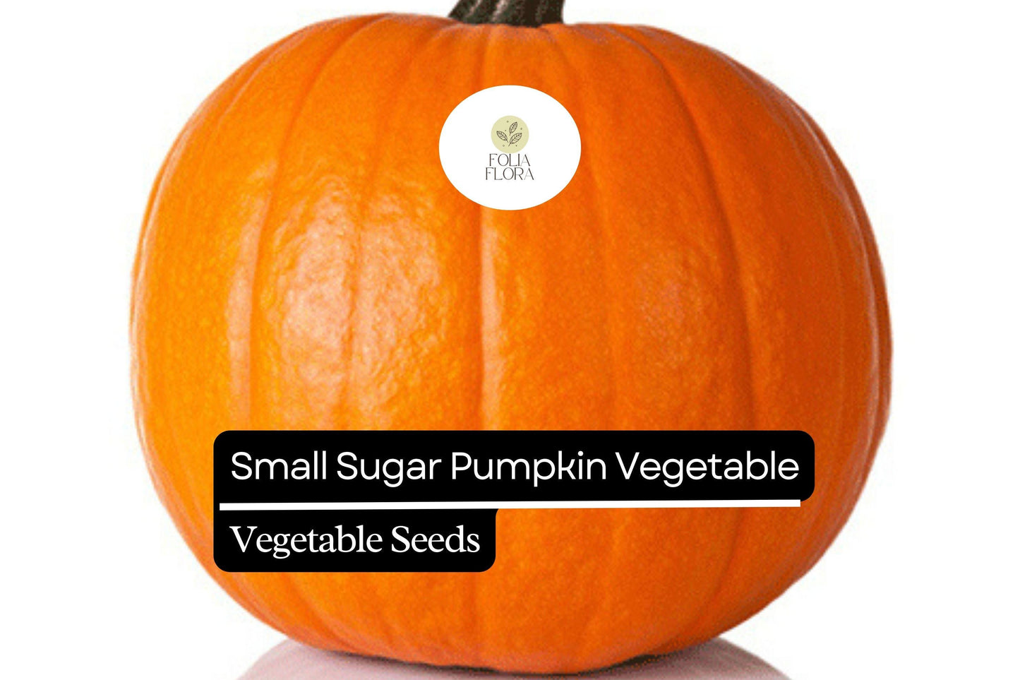 Small Sugar Pumpkin Seeds (1g) - Heirloom Non-GMO Cucurbita pepo for Baking & Roasting - Compact, Sweet Flavor, Vibrant Orange
