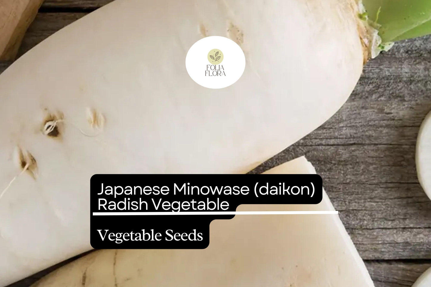 Minowase Daikon Radish Seeds 1g - Heirloom Non-GMO Raphanus sativus - Japanese White Roots for Pickling & Soups