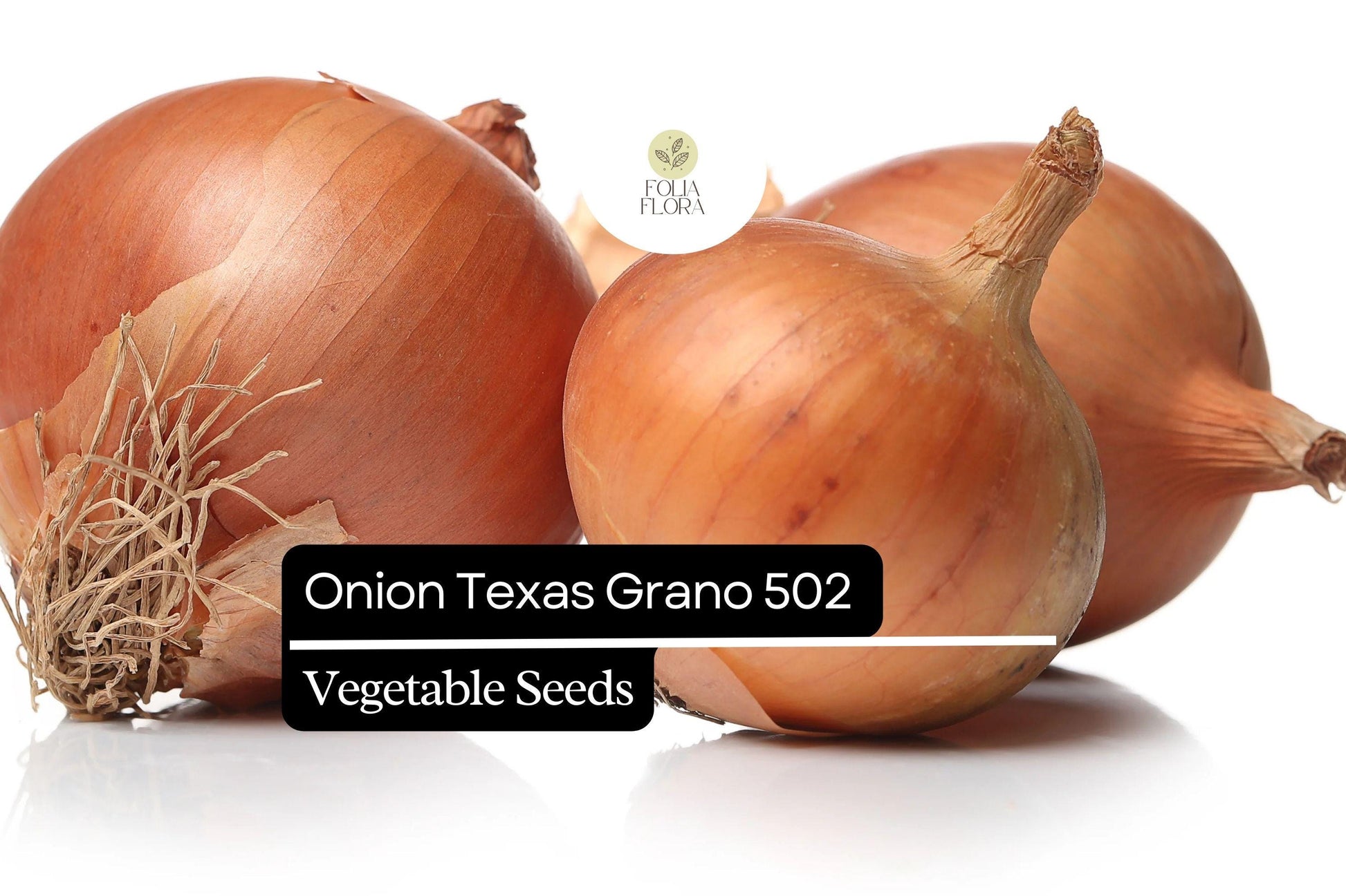 Texas Grano 502 Onion Seeds 250mg | Sweet Globe Onion, Non-GMO | Allium cepa | Early Harvest, Mild Flavor