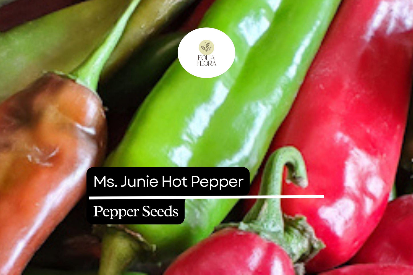 Ms. Junie Hot Pepper Seeds | 250mg | Medium Heat | Capsicum Annuum | Vibrant Red, Mildly Sweet Flavor for Sauces and Salsas