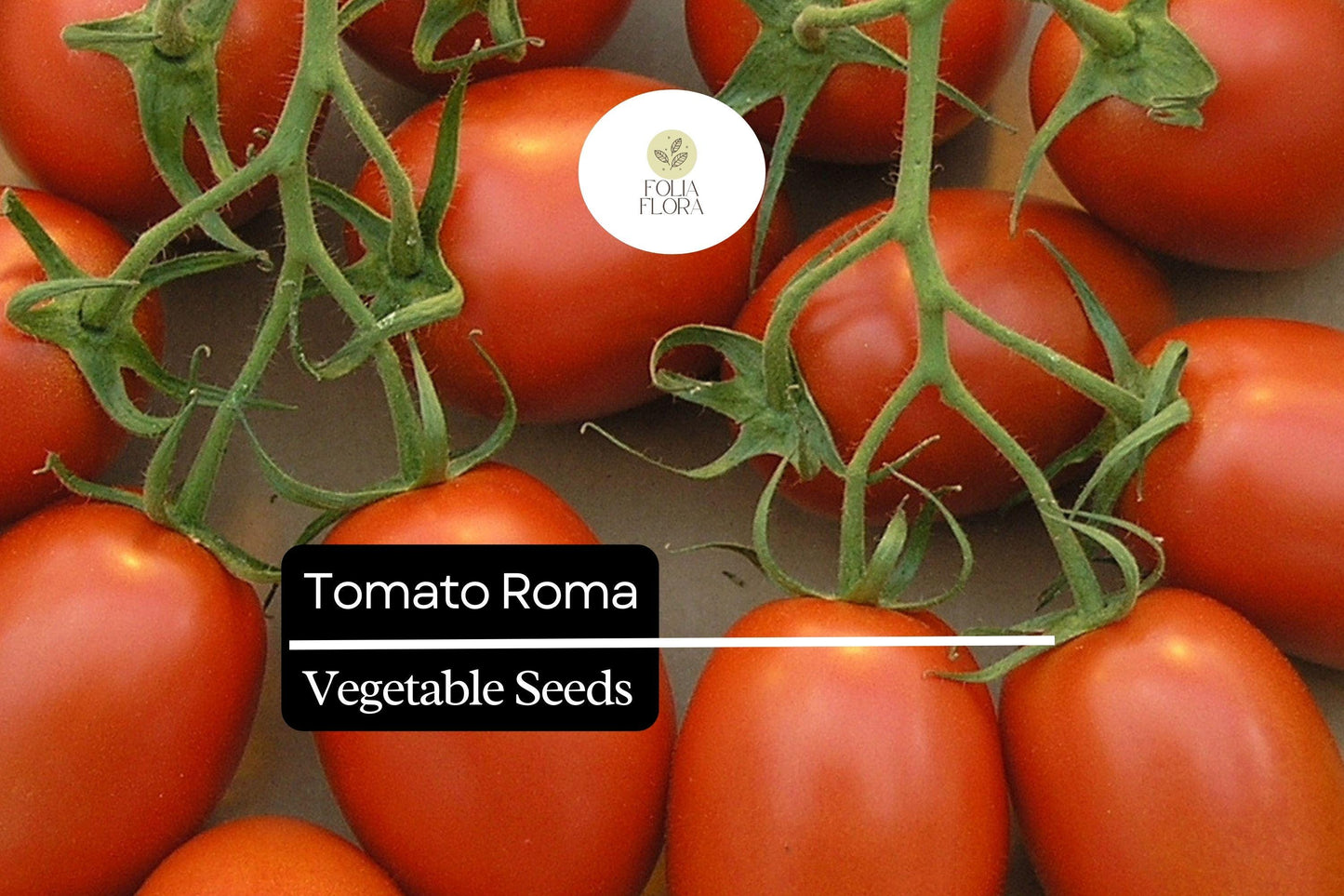 Heirloom Roma Tomato Seeds - Classic Plum Variety - Solanum lycopersicum - Rich Flavor, Meaty Texture, High Yield
