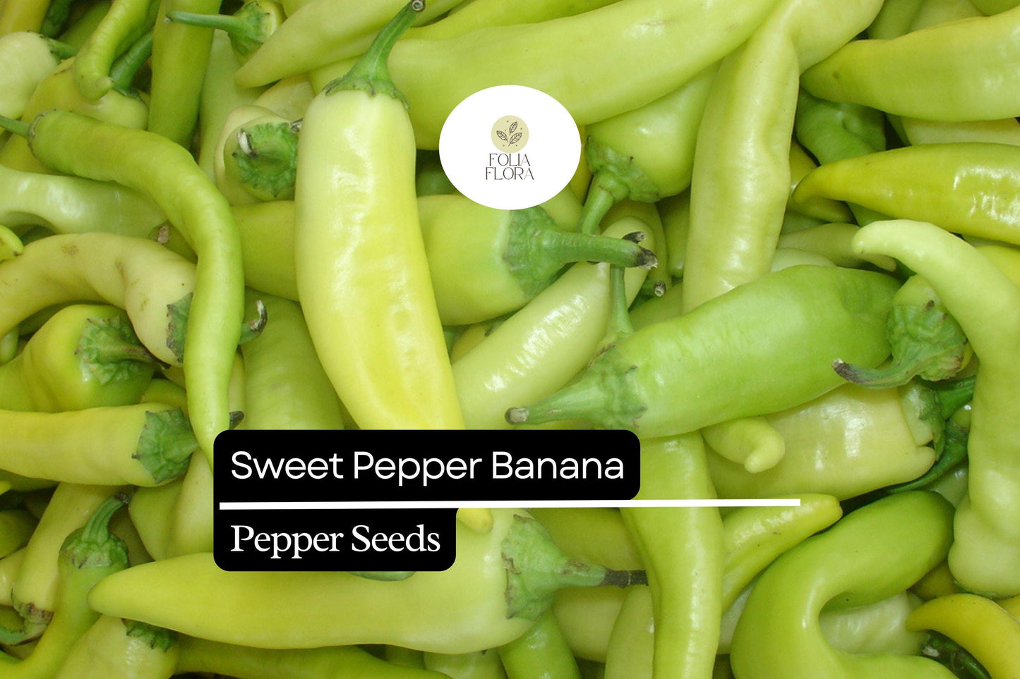 Sweet Banana Pepper Seeds - Mild Flavor, 30 Seeds, Capsicum annuum, Yellow Variety for Fresh Eating and Cooking