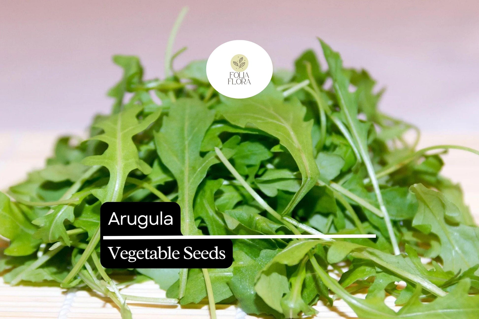 Arugula Seeds 1g | Heirloom Non-GMO | Peppery Flavor | Eruca vesicaria | Fast-Growing Salad Green for Container Gardening