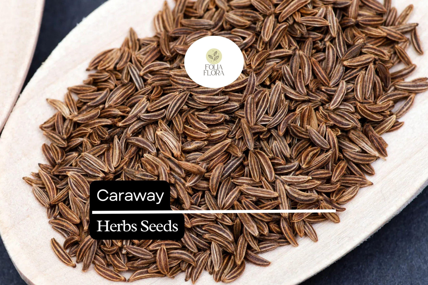 Caraway Seeds 1g | Heirloom Non-GMO Culinary Herb | Aromatic Spice | Carum carvi | Pollinator-Friendly