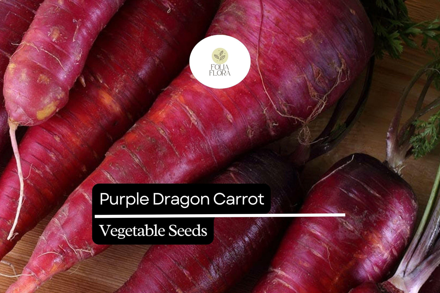 Purple Dragon Carrot Seeds - 200 Heirloom Seeds, Daucus carota, Purple Skin, Sweet Flavor, Crunchy Texture, Unique Garden Color