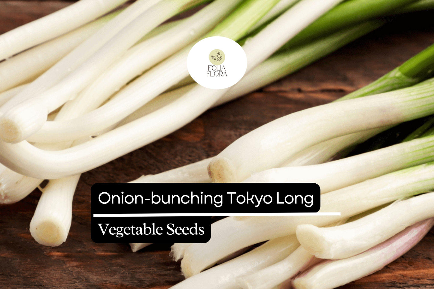 Tokyo Long White Onion Seeds - Heirloom Non-GMO (1g) - Allium fistulosum - Bunching Onion for Salads & Stir-Fries