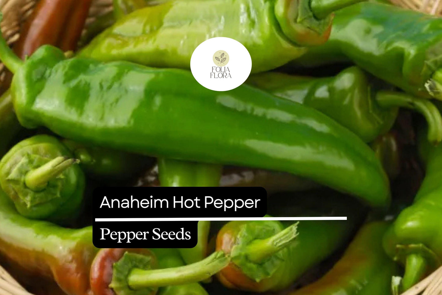 Anaheim Hot Pepper Seeds | Non-GMO Heirloom | Mild Heat, Smoky Flavor | Capsicum annuum | 300mg Packet