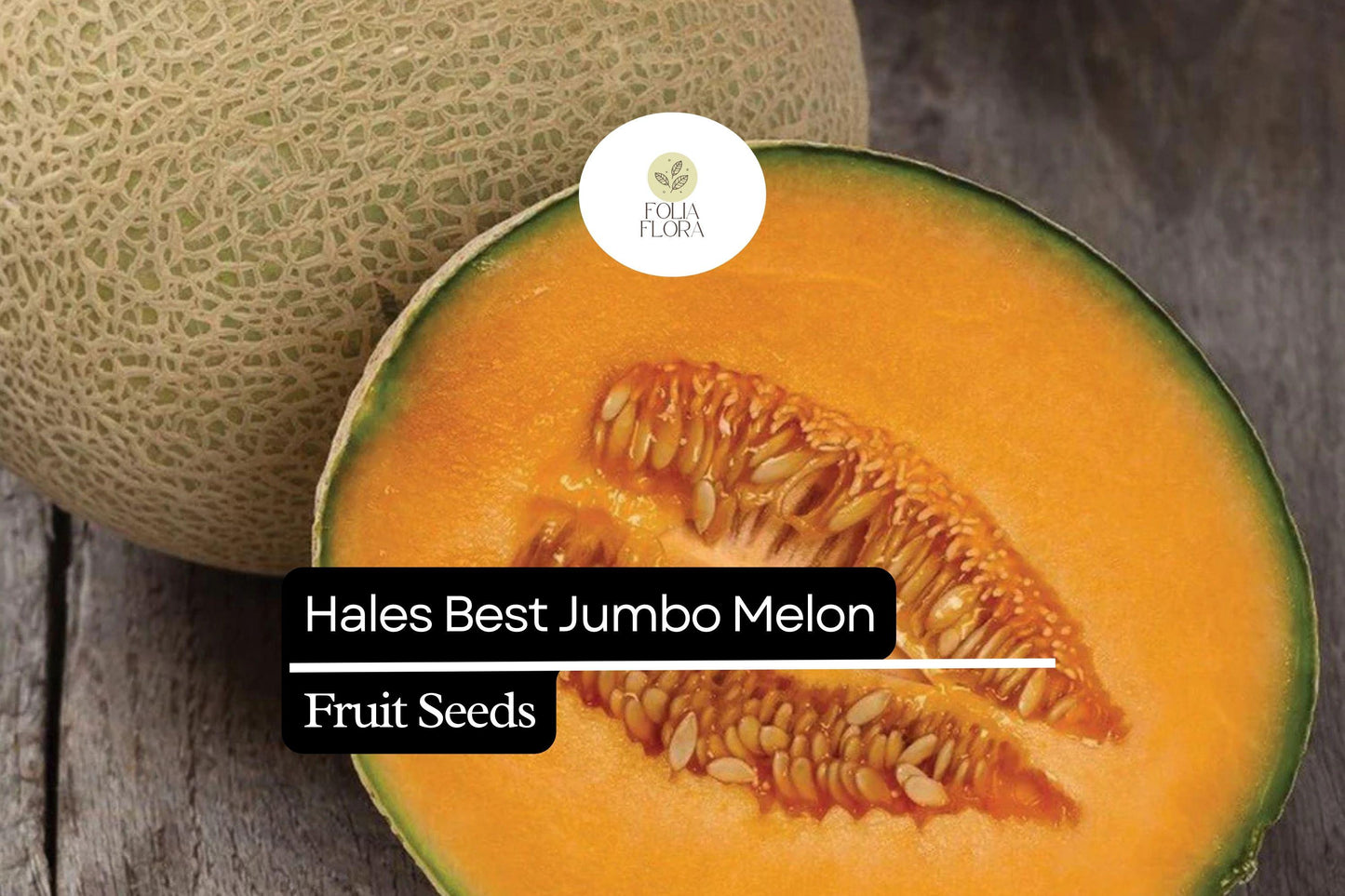 Hales Best Jumbo Cantaloupe Seeds - Sweet Orange Melon (Cucumis melo) - High-Yielding, Juicy Fruit for Home Gardeners