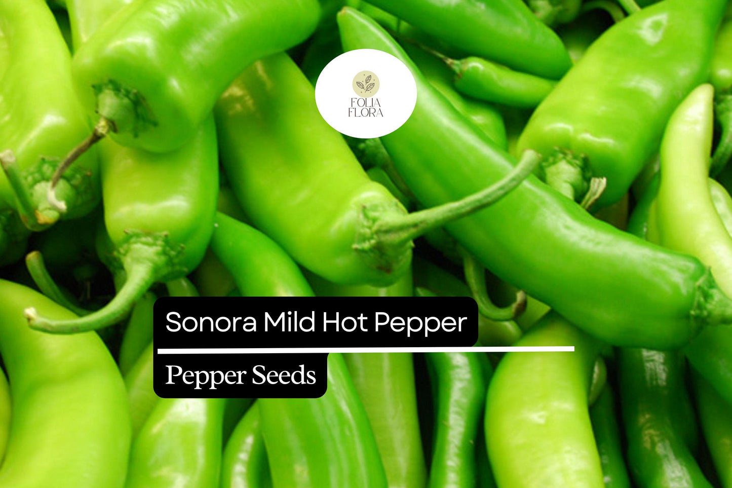 Sonora Mild Hot Pepper Seeds 250mg | Heirloom Capsicum annuum | High Yield, Sweet Flavor, Non-GMO, Easy to Grow