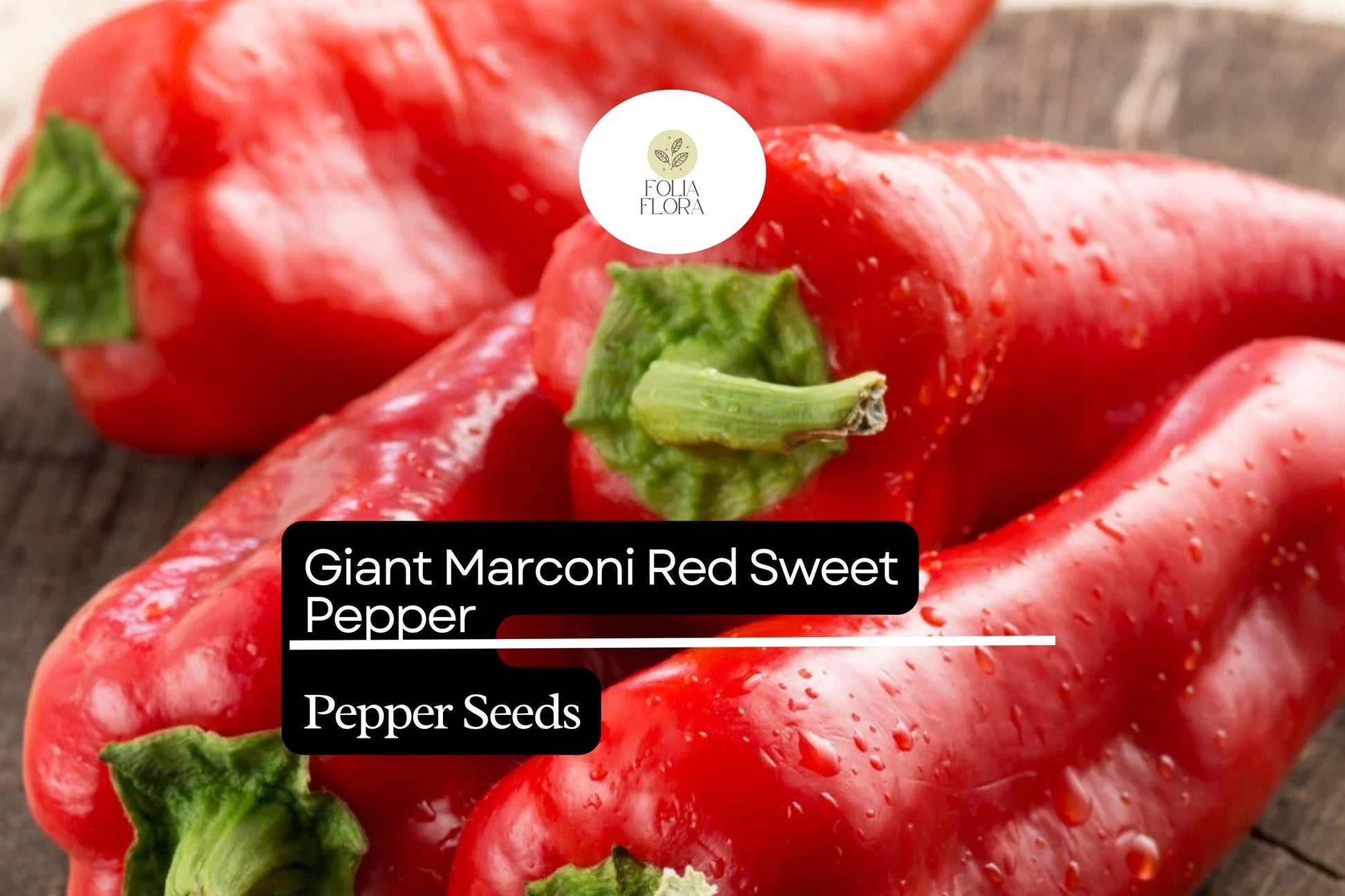 Giant Marconi Red Pepper Seeds | 250mg Non-GMO | Sweet Smoky Flavor | Capsicum annuum | High Yield, Disease Resistant