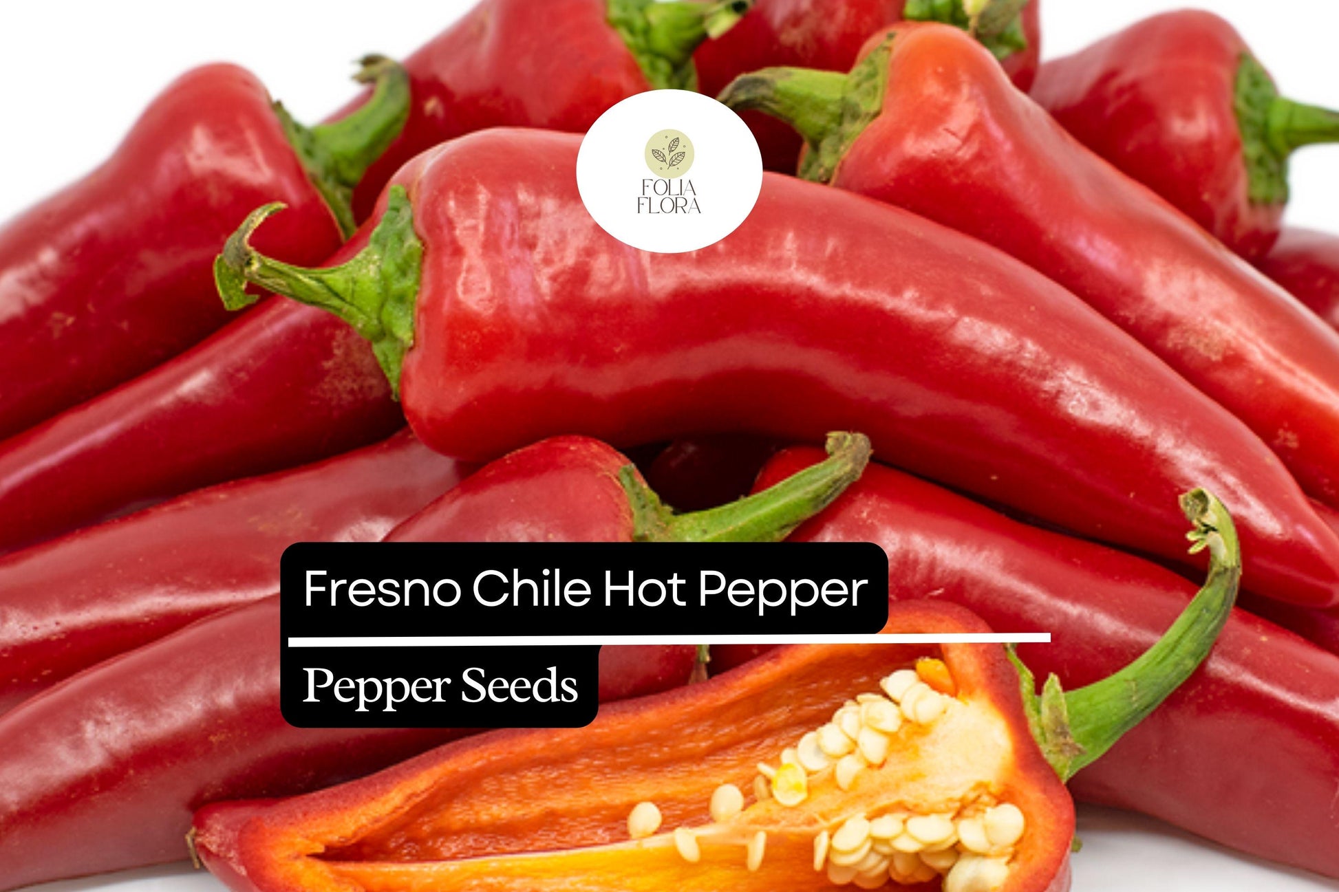 Fresno Chili Pepper Seeds 250mg | Heirloom Non-GMO | Medium Heat Capsicum annuum | Sweet Smoky Flavor for Salsas & Sauces