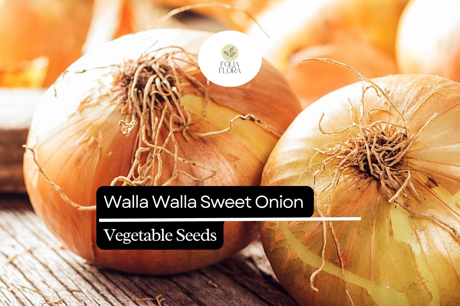 Walla Walla Sweet Onion Seeds 250mg | Mild Flavor Allium cepa | Golden-Brown Skin, Crisp White Interior | Easy Grow