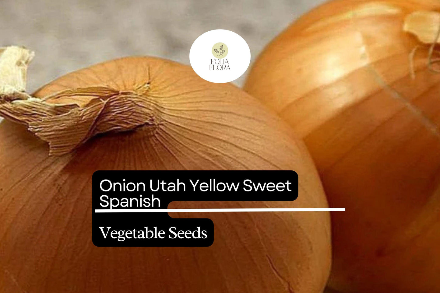 Utah Yellow Sweet Spanish Onion Seeds | Heirloom Variety | Allium cepa | Mild Sweet Flavor | 250mg Seed Pack