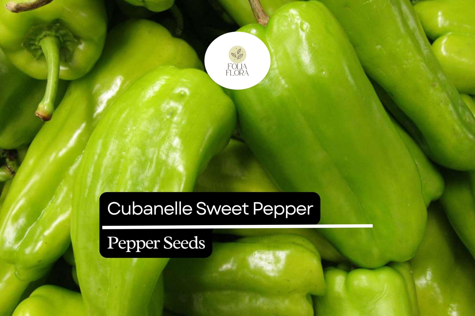 Cubanelle Sweet Pepper Seeds - Mild & Sweet Variety, Capsicum Annuum, 250mg for Cooking & Fresh Eating