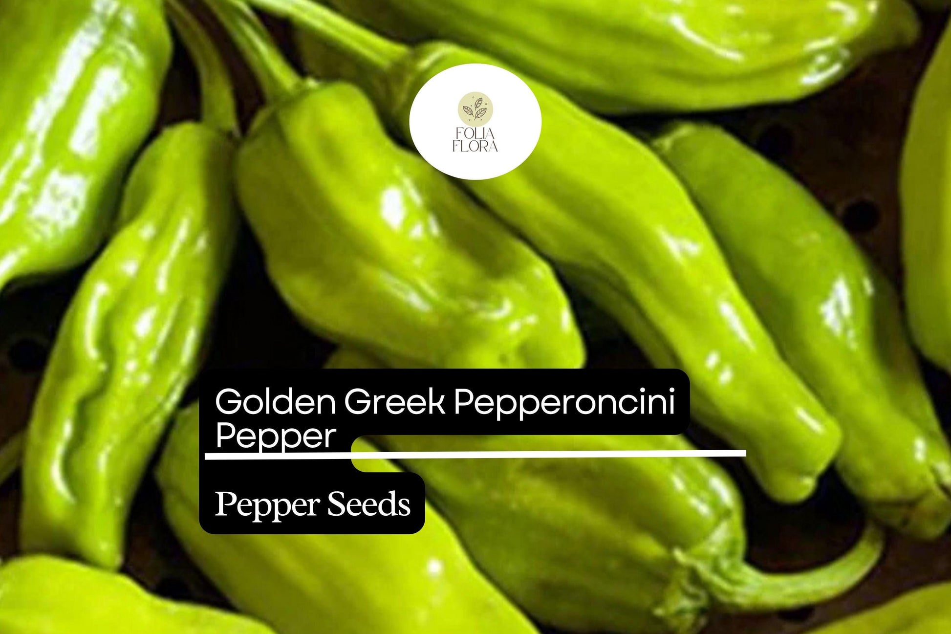 Golden Greek Pepperoncini Seeds – 30 Seeds, Mild Yellow-Green Peppers, Capsicum annuum, Perfect for Pickling and Salads