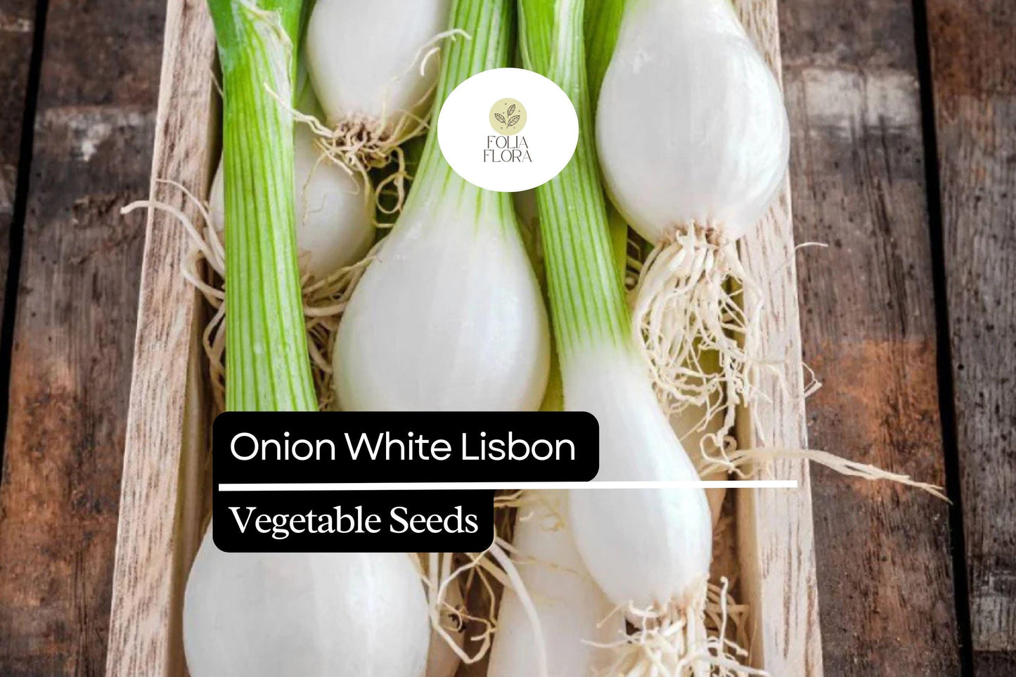 White Lisbon Onion Seeds - 250 Pack - Mild & Crisp Bunching Onion (Allium cepa) for Fresh Eating & Cooking