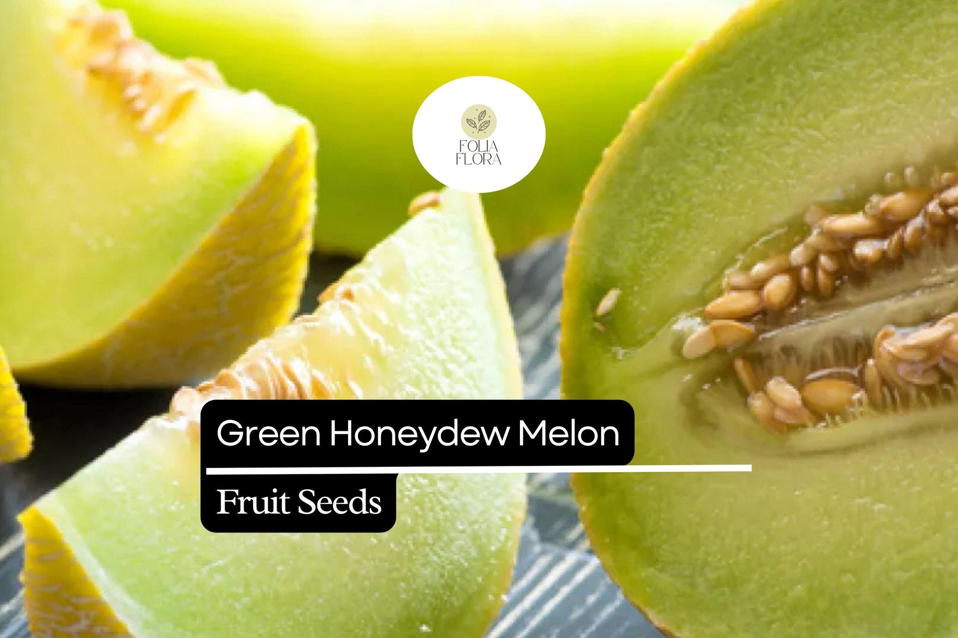 Green Honeydew Melon Seeds - 50 Heirloom Seeds, Sweet & Juicy, Cucumis Melo, Perfect for Summer Desserts and Salads