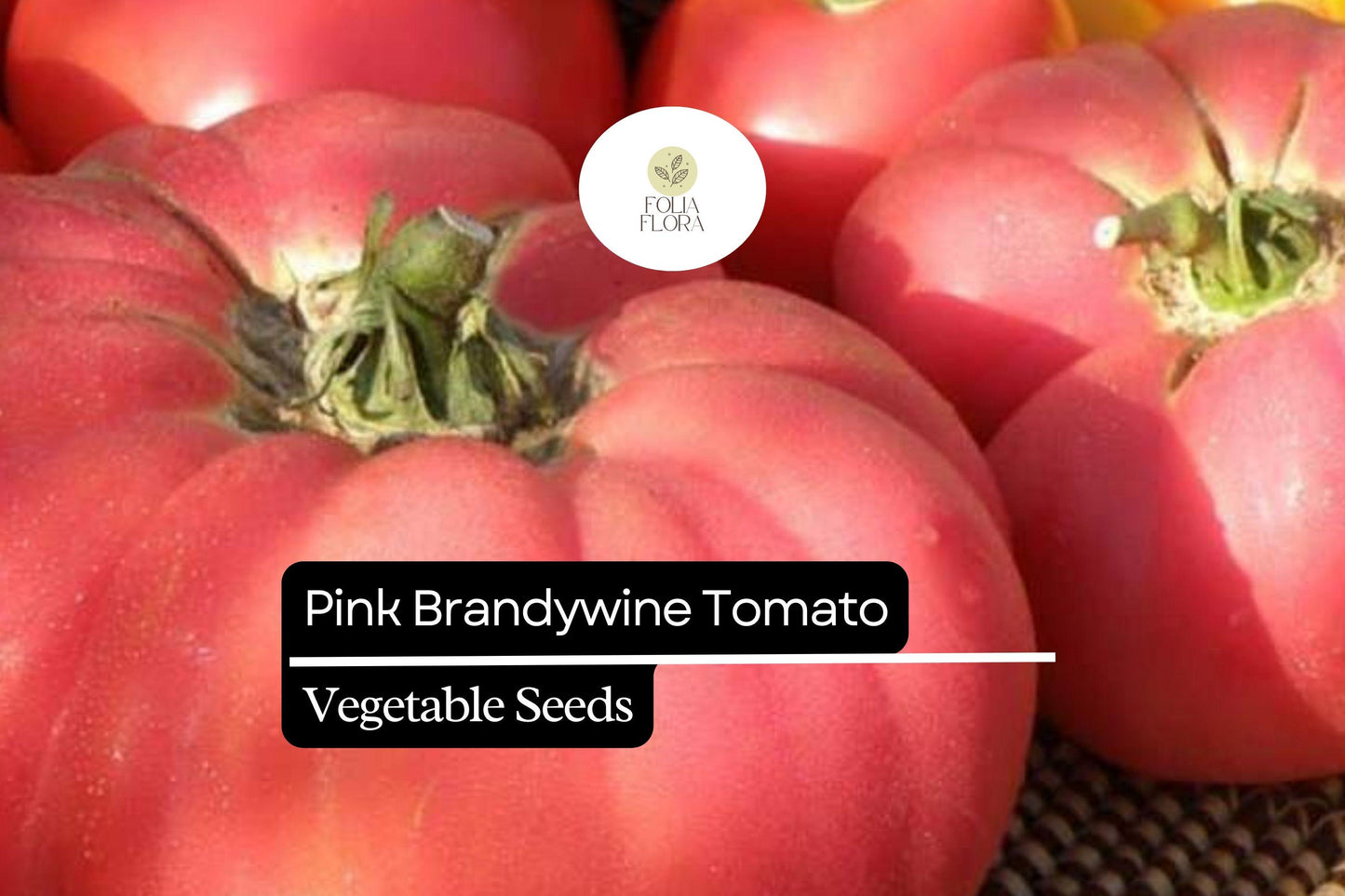 30 Seeds Pink Brandywine Tomato - Heirloom, Juicy, Flavorful - Solanum lycopersicum - Ideal for Salads & Sauces