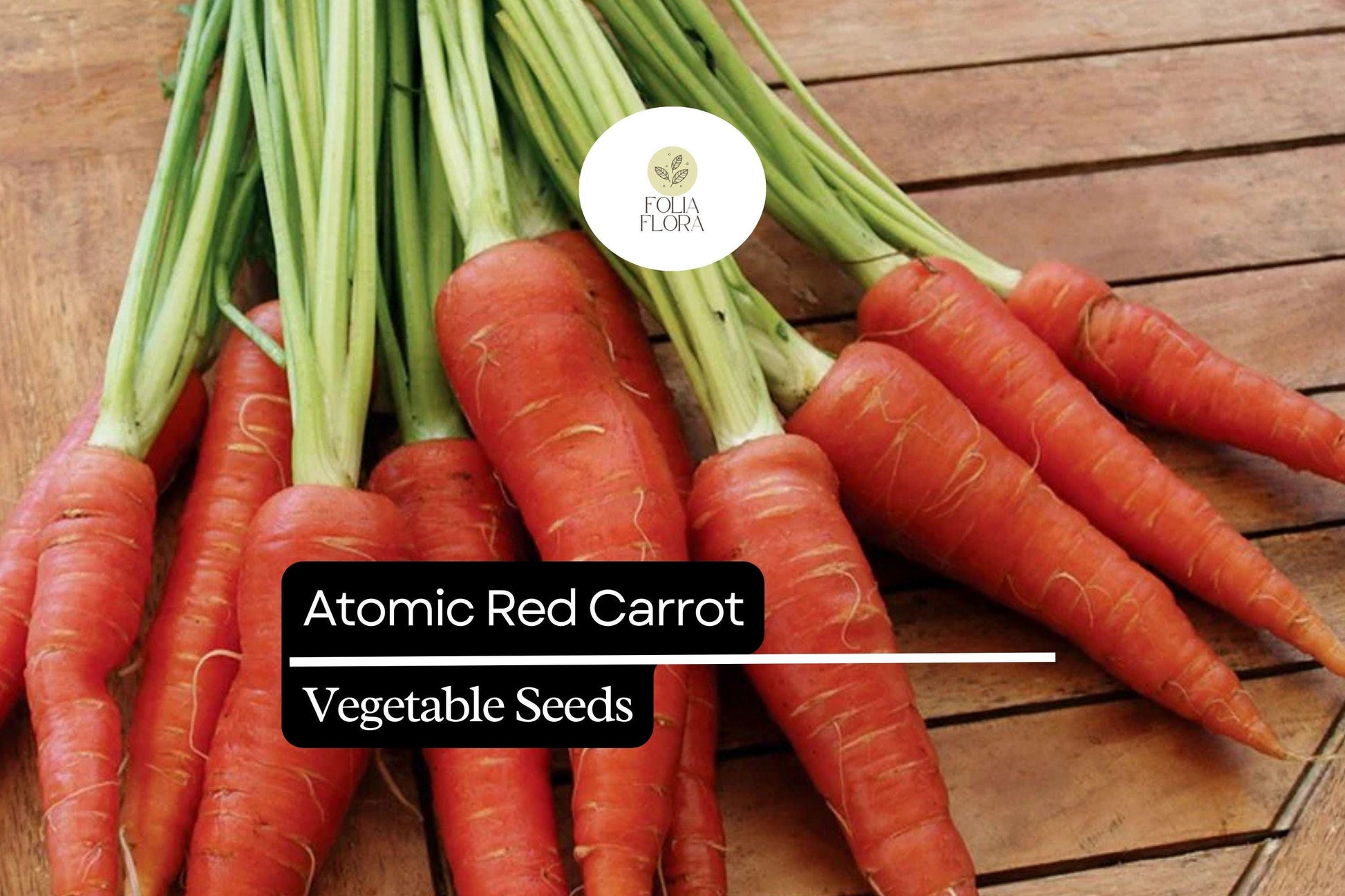 Atomic Red Carrot Seeds - Sweet Vibrant Red Variety, Daucus carota, Ideal for Home Gardens, Juices, and Salads