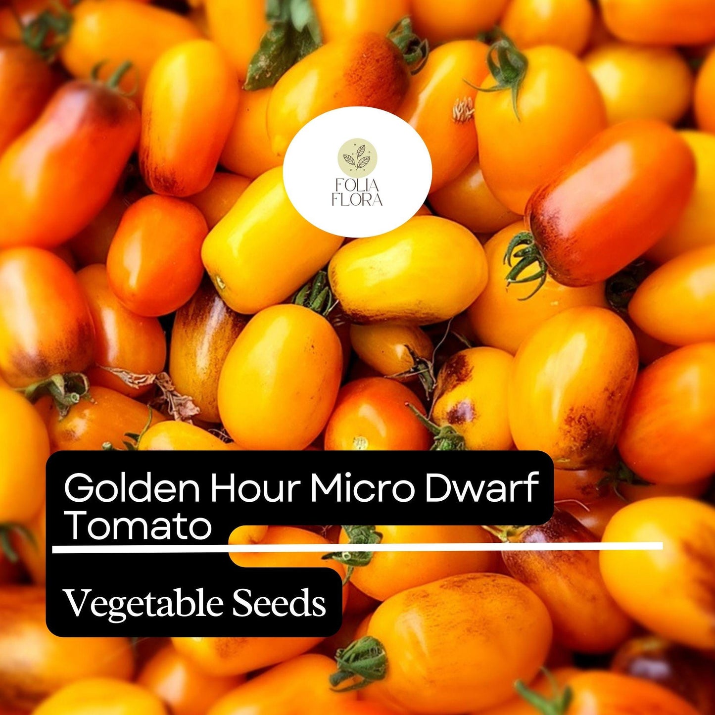 Golden Hour Micro Dwarf Tomato Seeds - 15 Heirloom Non-GMO Seeds, Compact & High-Yield, Solanum lycopersicum, Golden-Yellow